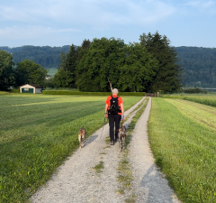 man beim Spaziergang