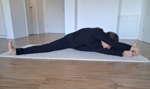 Konasana Variation.png