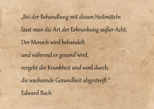Zitat Edward Bach.png