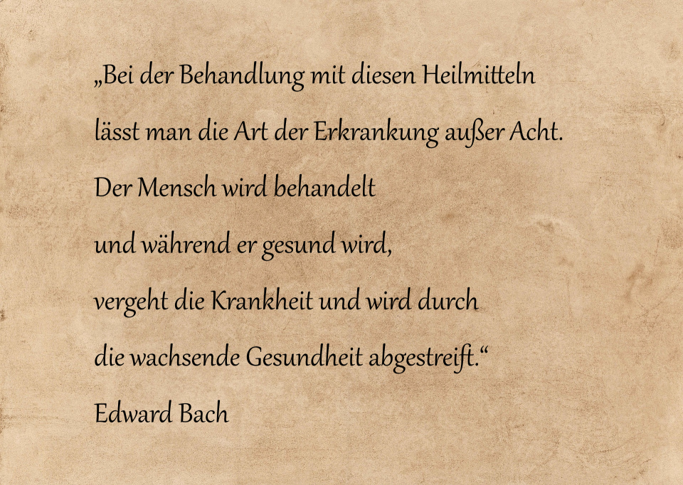 Datei:Zitat Edward Bach.png